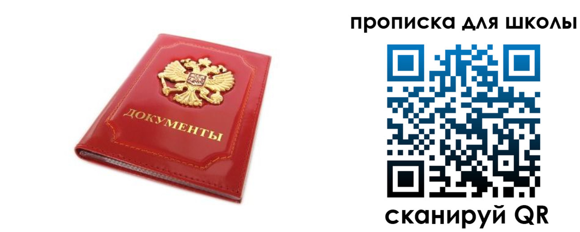 прописка для школы в Курской области