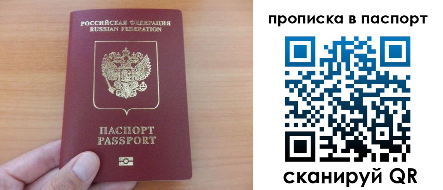 временная регистрация гарантия в Курской области